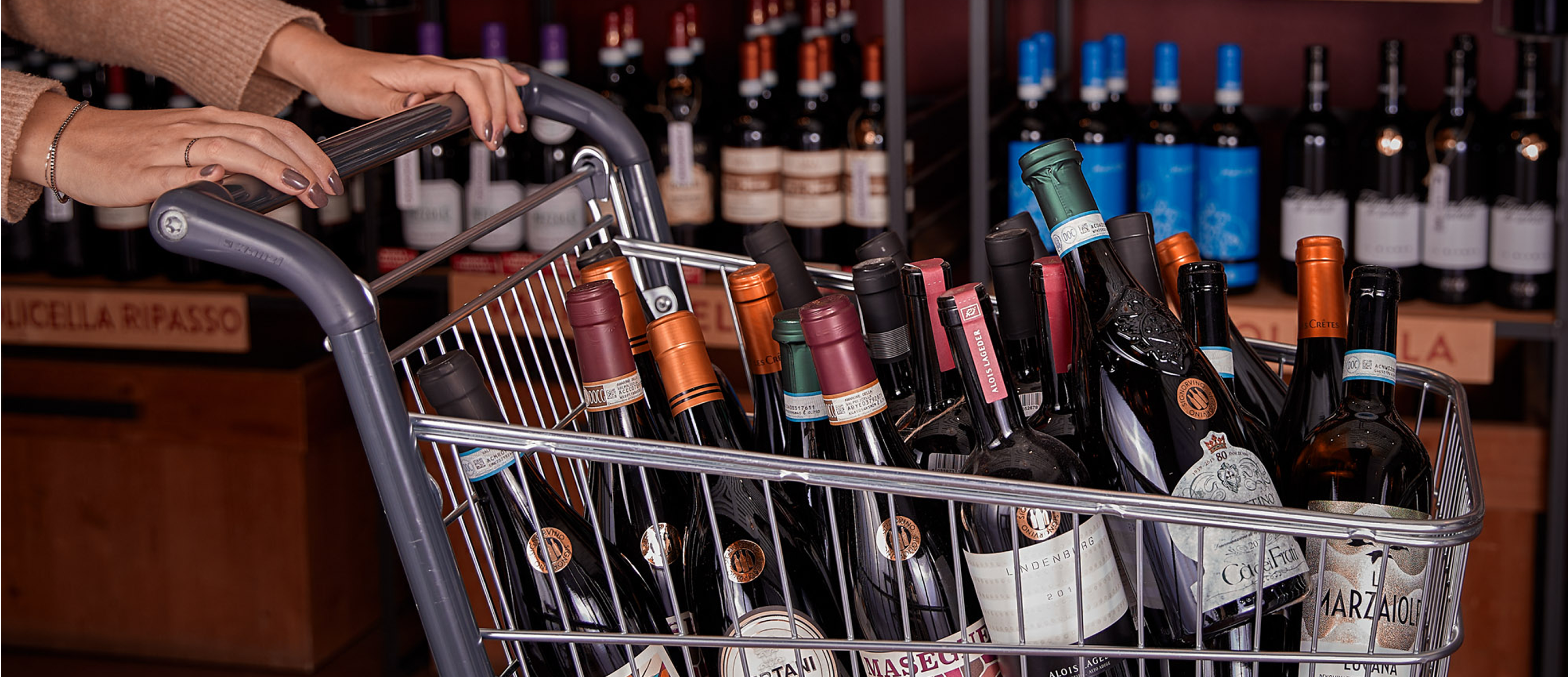 wine-fest-potenziata